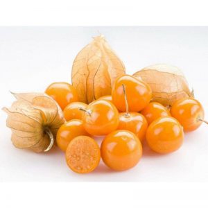 Physalis /Kg
