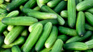 Cucumber Meditaranean 1Kg Pack