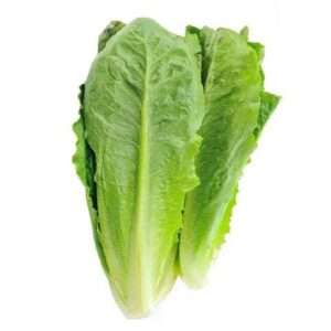 Lettuce Romaine/kg