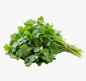 Herbs Coriander 100g