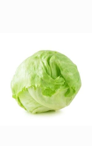 Lettuce Iceberg/Kg