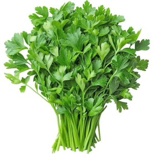 Herbs Coriander 100g