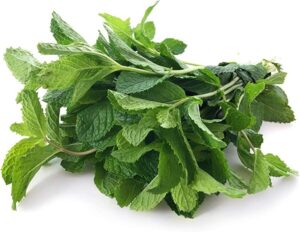 Herbs Mint 100g