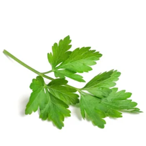 Herbs Parsley 100g
