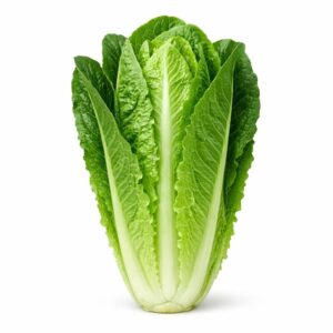 Lettuce Romaine/kg