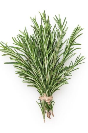 Herbs Rosemary 100g